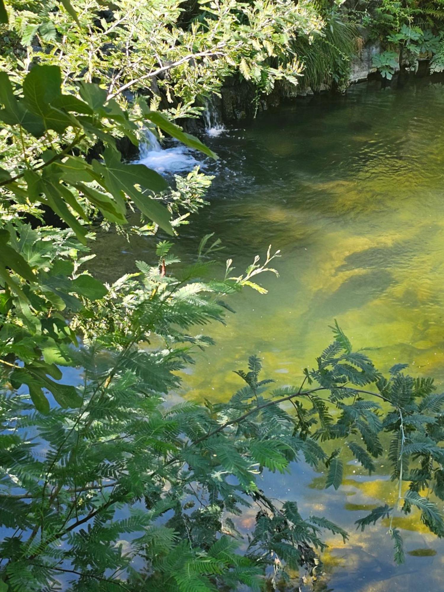 Pampihouse, Luxury Rustic House Near River Pampilhosa da Serra Zewnętrze zdjęcie