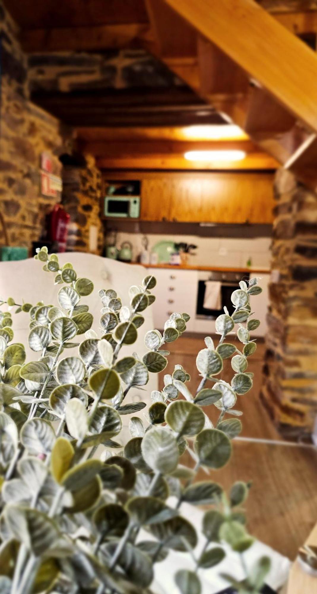 Pampihouse, Luxury Rustic House Near River Pampilhosa da Serra Zewnętrze zdjęcie
